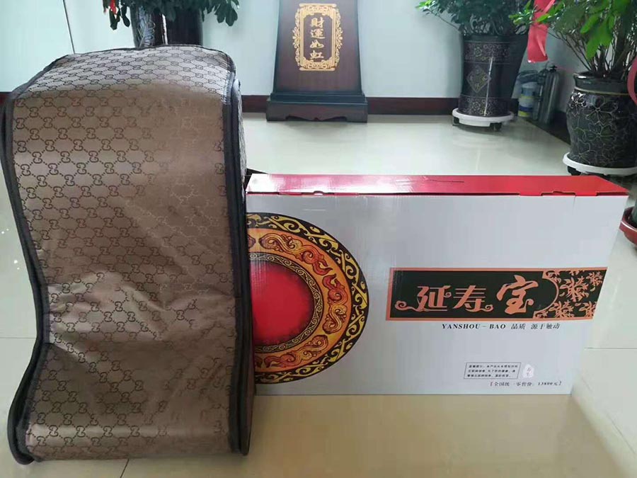 延寿宝足灸仪