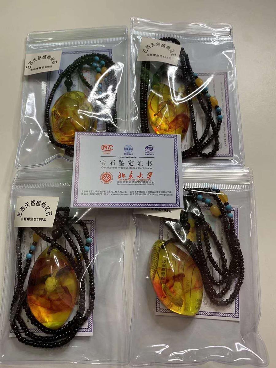 巴西植物化石项链