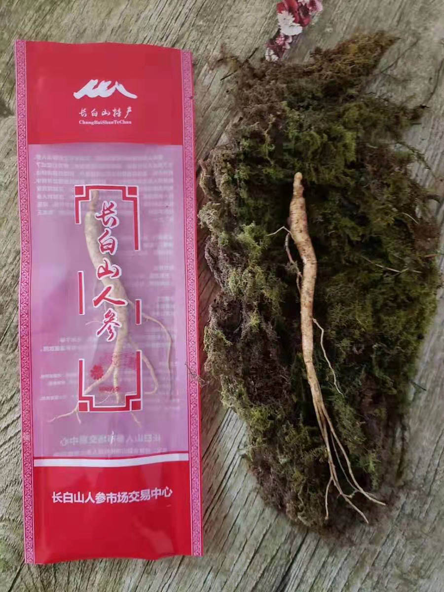 红袋鲜土参