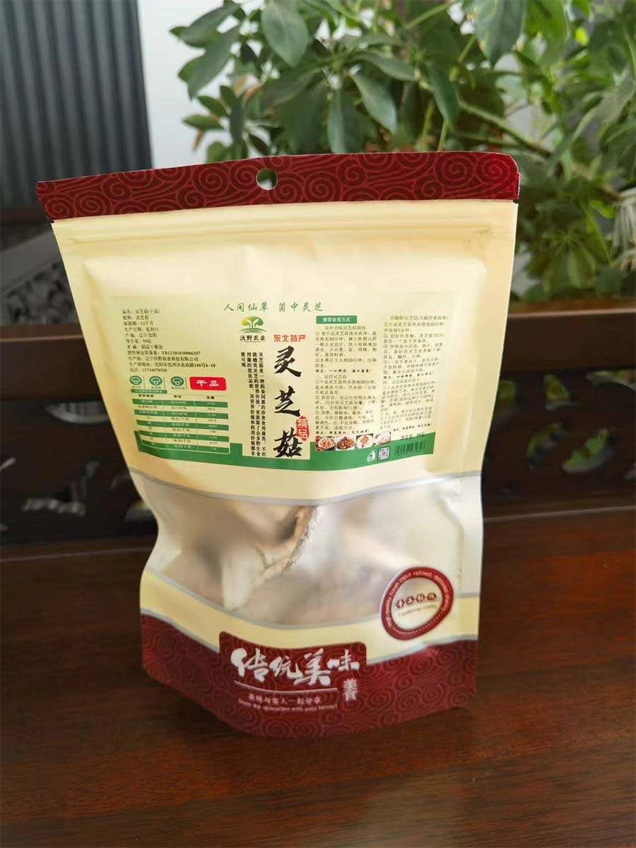 灵芝菇