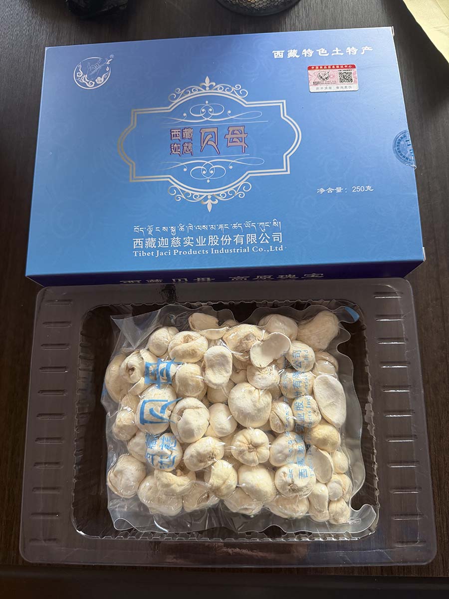 西藏迦慈贝母