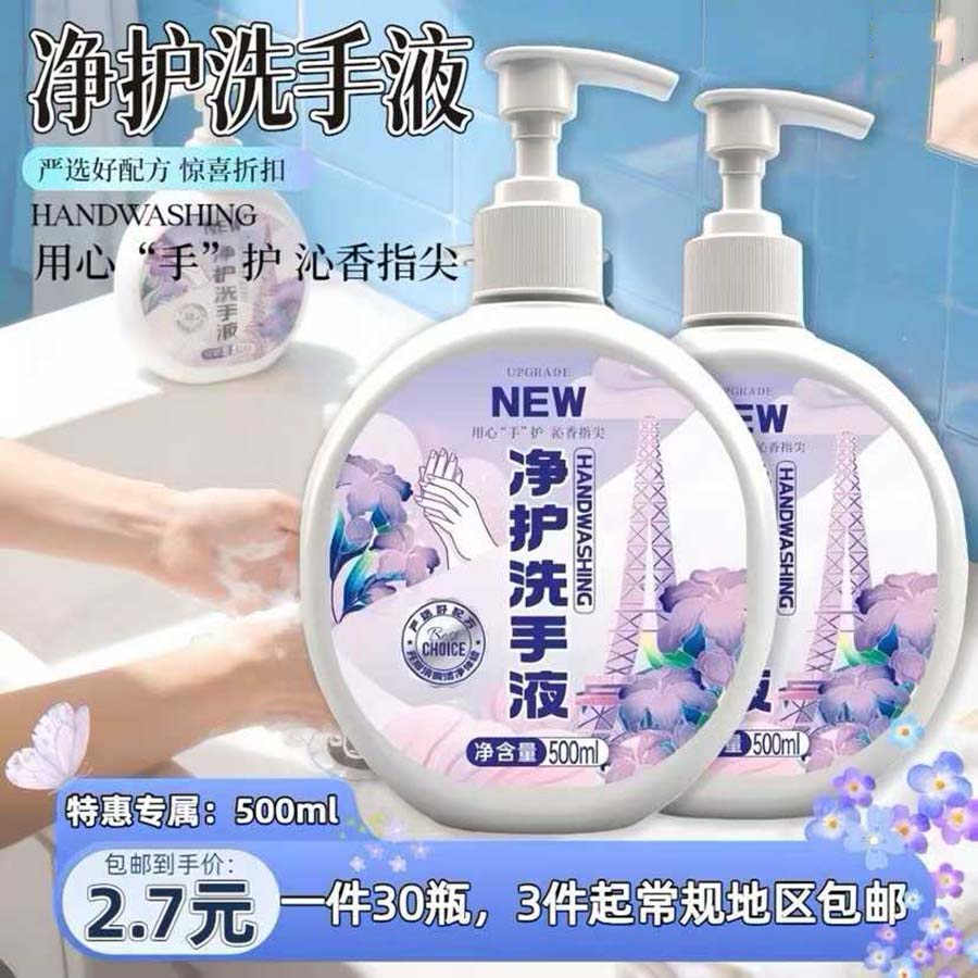500ml 净护洗手液