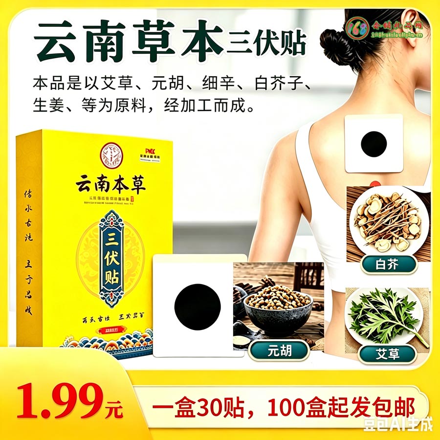 云南本草三伏贴盒装