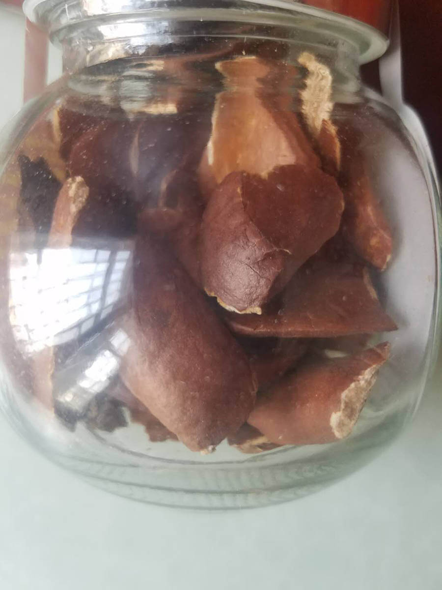 促销礼品向天果