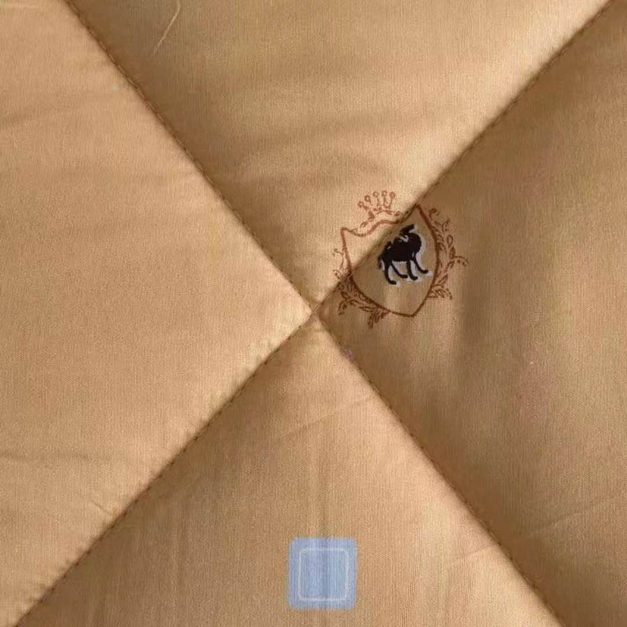 促销礼品纳米能量被