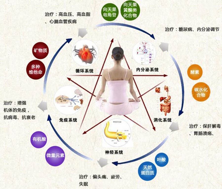 促销礼品向天果