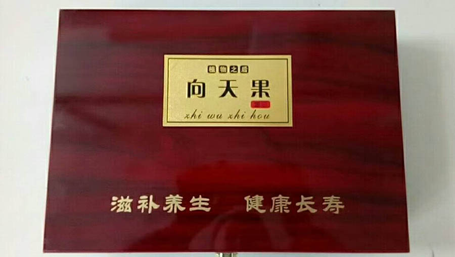促销礼品向天果