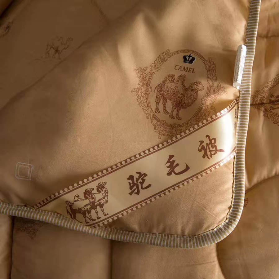 促销礼品纳米能量被